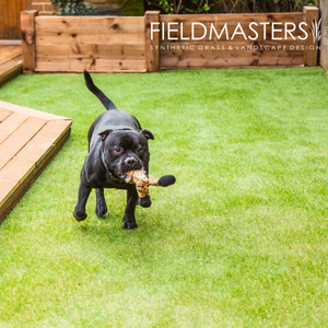 Guide To Artificial Grass For Dogs