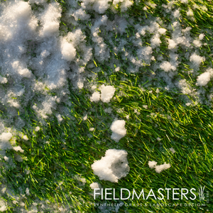 artificial grass for winter in Toronto