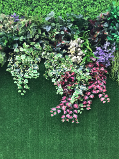 beautiful botanical garden with artificial turf wall